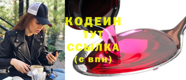 PSILOCYBIN Осинники