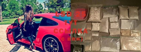 apvp Остров