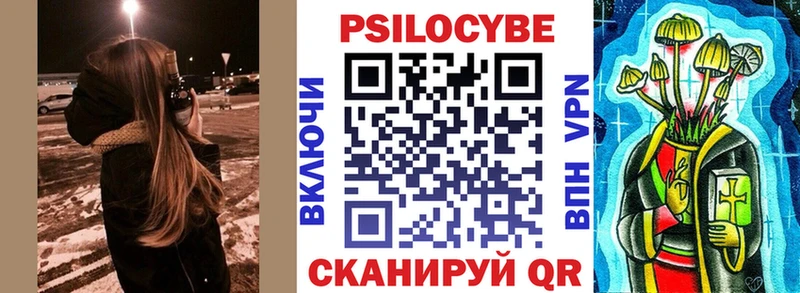 mega зеркало  Тосно  Псилоцибиновые грибы Psilocybe  цены  