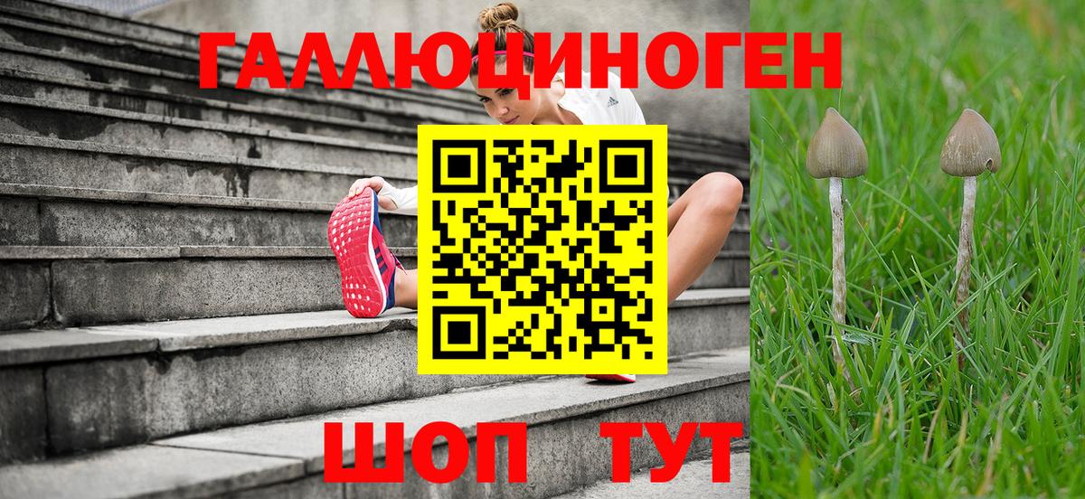 Псилоцибиновые грибы MAGIC MUSHROOMS Тосно