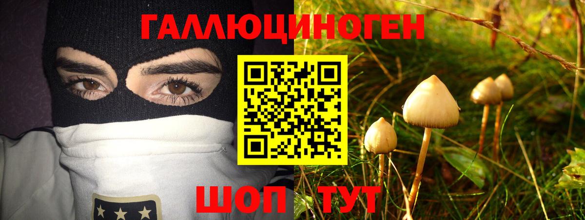 наркошоп  Псилоцибиновые грибы Psilocybe  Вход с VPN  Псилоцибиновые грибы GOLDEN TEACHER  Тосно 