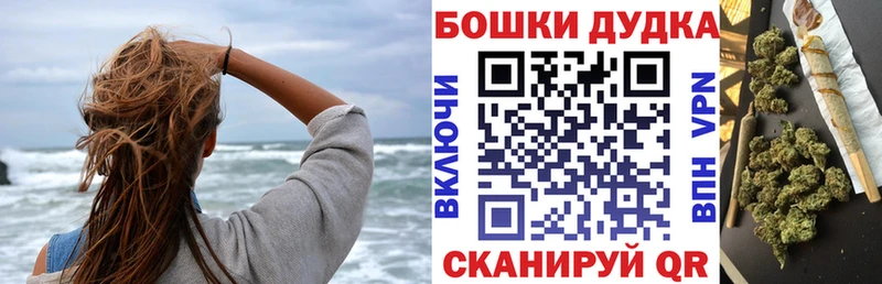 Конопля план  Тосно 